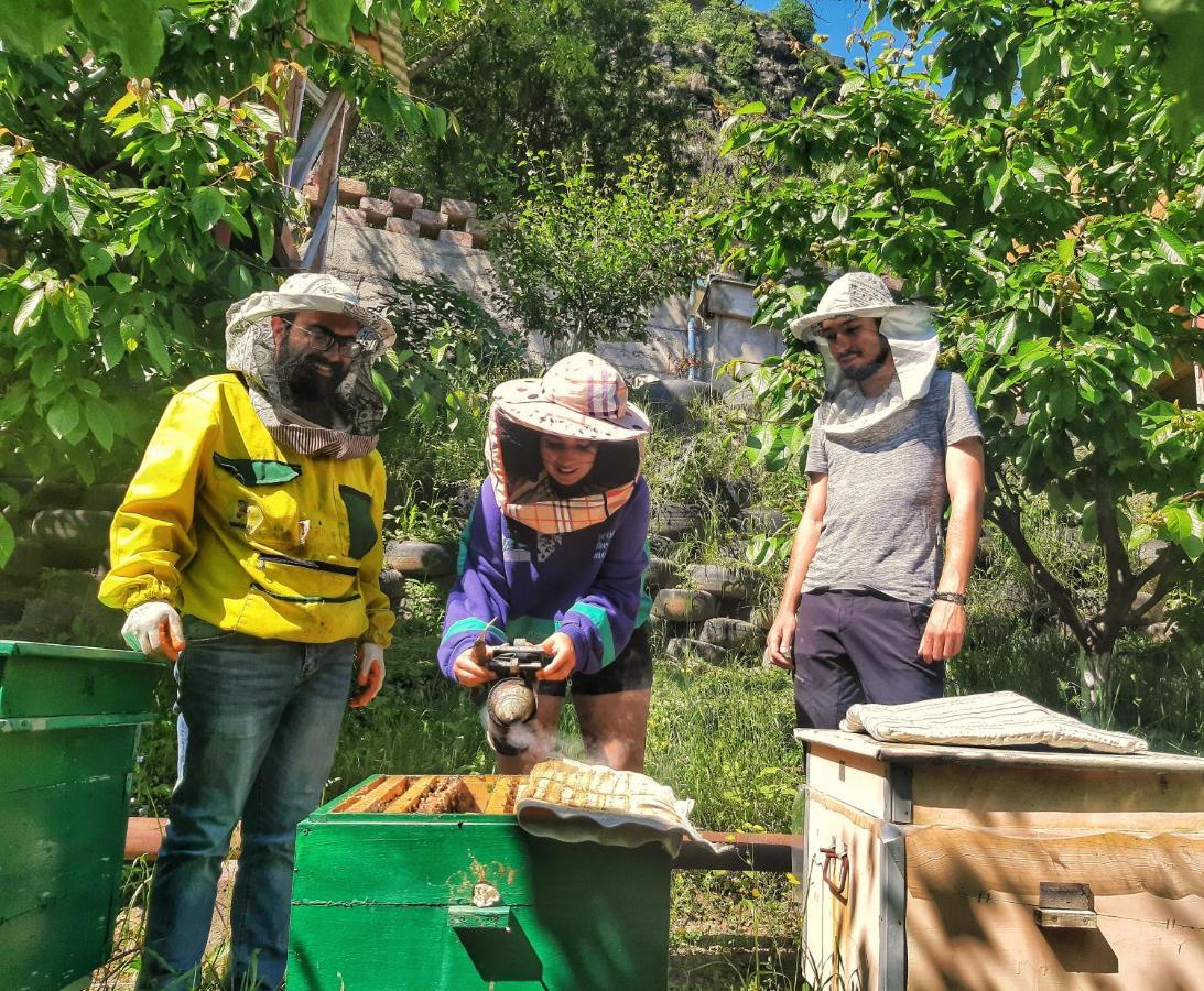 فيلا ألافيرديفي Armbee Honey Farm المظهر الخارجي الصورة